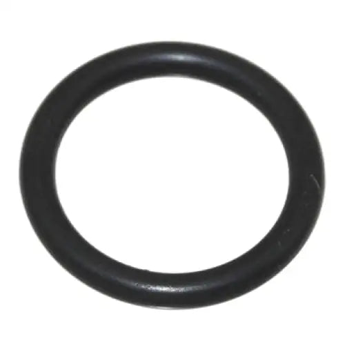 Fuel Pump O Ring Mounting - OEM