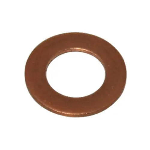 Fuel Regulator Washer - OEM