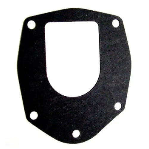 Gasket Water Pump Plate - Aftermarket