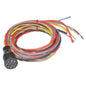 Harness Engine - Aftermarket
