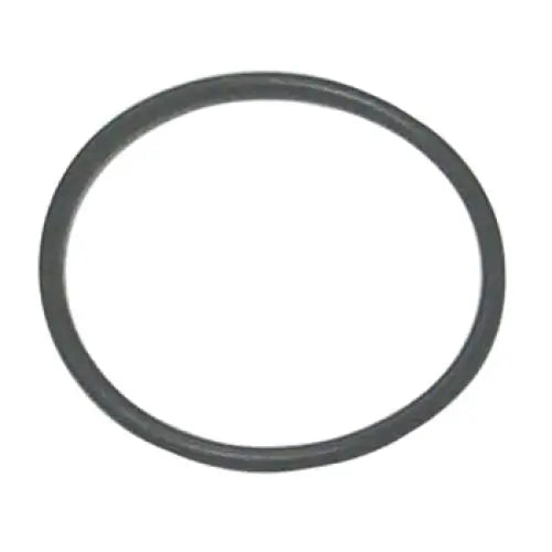 O-Ring Fuel Filter Element - Aftermarket