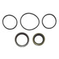 Seal Kit Crankshaft - Aftermarket